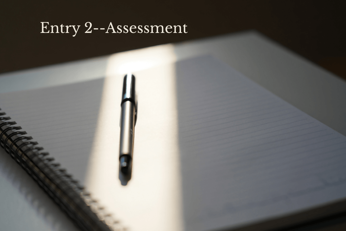 pen laid across an open journal with a caption Entry 2-Assessment